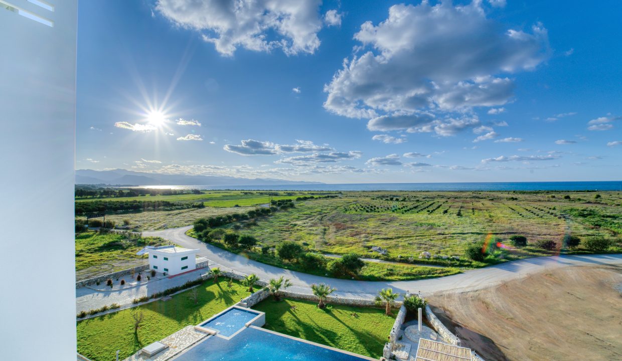 Copy of _DSC5923_74 copy